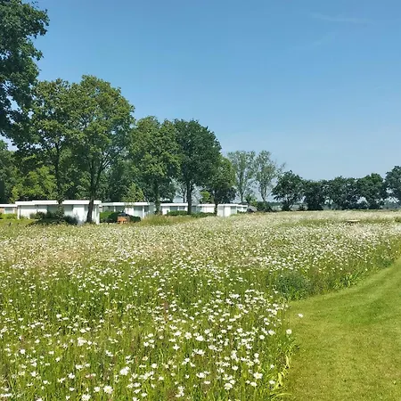 In With Wifi Ferienhaus