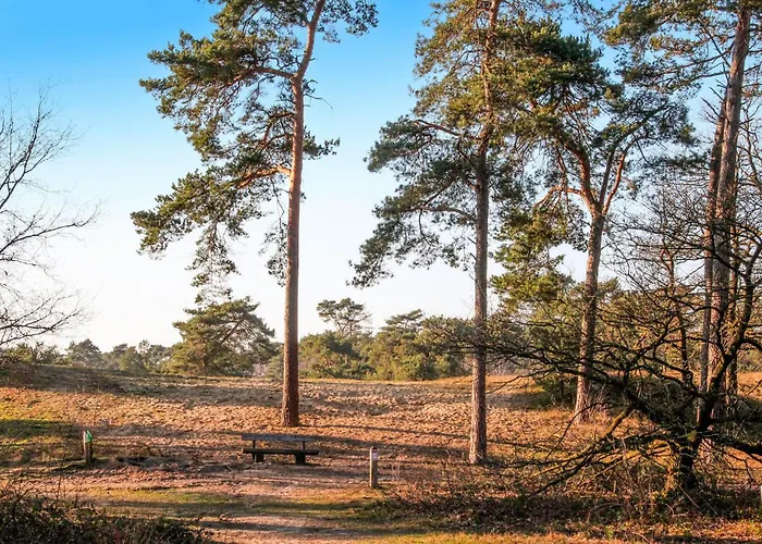 In With Wifi * Афферден