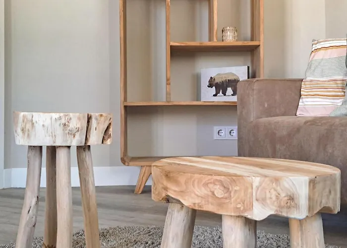 In With Wifi Tatil Evi *