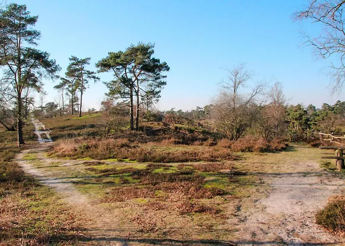 In With Wifi Afferden (Limburg)